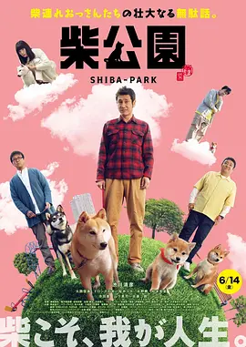余烬之上电视剧免费高清观看