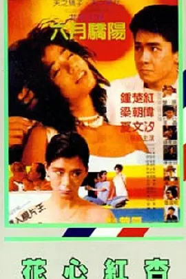 糖心视频在线观看