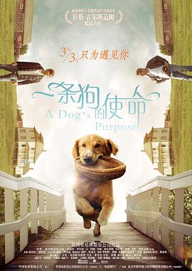 欧美一级二级三级视频