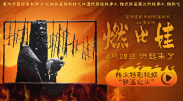一级毛片特黄久久免费看