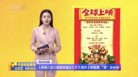 香港aa三级久久三级